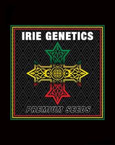 Irie Genetics