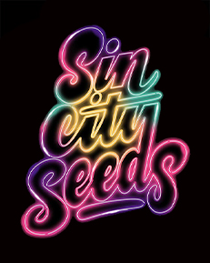 sin city seeds