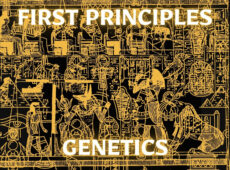 First Principles Genetics